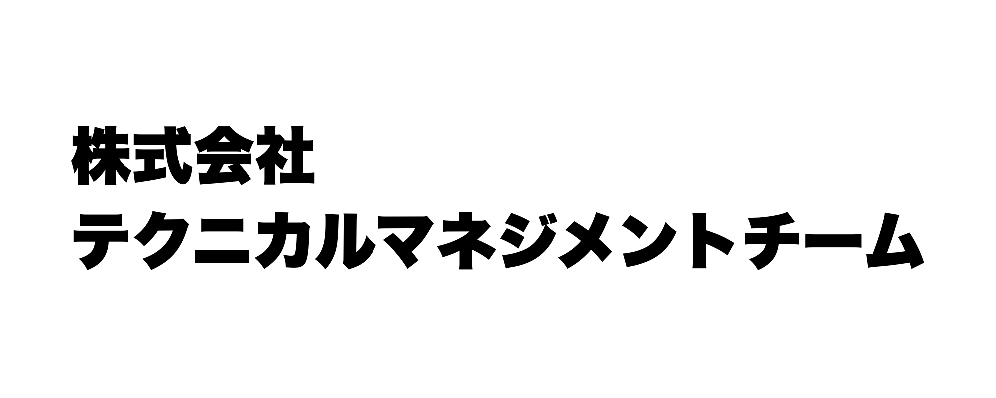 株式会社テクニカルマネジメントチーム